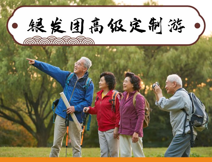 银发团高级定制游