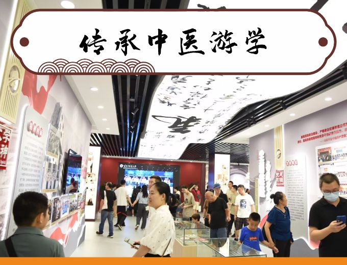 传承中医游学